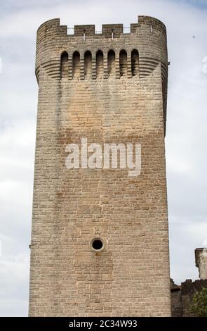 Abtei von St. Peter in Montmajour in der Nähe von Arles, Frankreich Stockfoto