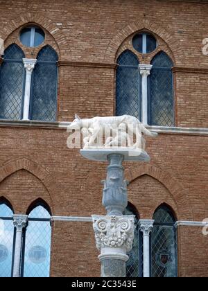 Siena - Spalte mit der Wölfin vor dem Dom Fassade Stockfoto