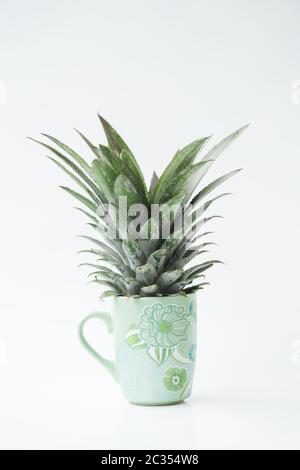 Frische Ananas auf weißem Hintergrund Stockfoto