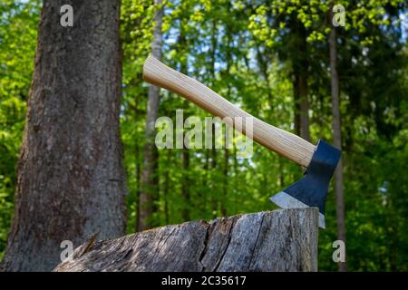 Chopper oder Axt stehend aufrecht in einem alten Baumstumpf im Freien vor einem Waldgrund im Frühjahr Stockfoto