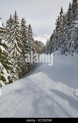 Skipiste in den französischen Alpen mit verschneiten Bäumen in den Bergen Stockfoto