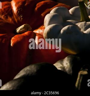 Obstdekoration Stockfoto