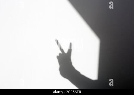 Silhouette Schattenhand mit einem Friedenszeichen an der weißen Wand, isolierter Raum für Text Stockfoto