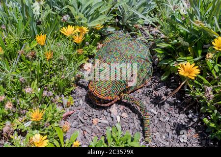 Dekorativer Frosch im Garten oder Blumenbeet im Park. Kreative Gartenarbeit. Stockfoto