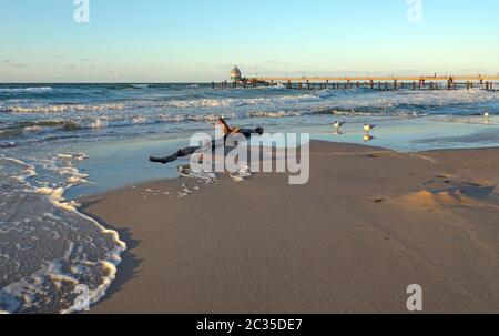 Ausgetrockneter Baumstamm am Strand mit Pier im Hintergrund Stockfoto