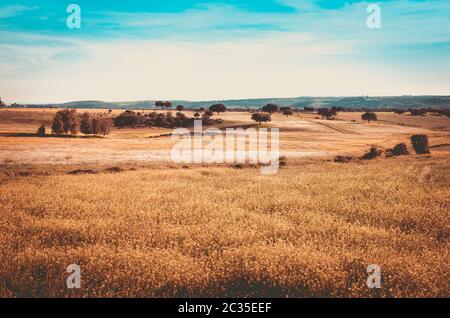 Herbstlandschaft in Alburquerque, Extremadura, Spanien Stockfoto