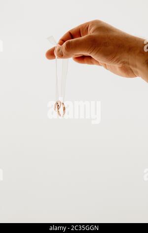 Hand hält zwei goldene Eheringe auf einem Band, isoliert auf weißem Hintergrund Stockfoto