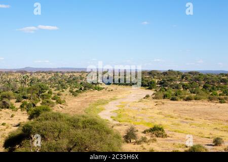 African Safari. Dirt Road im Tarangire Nationalpark, Tansania, Afrika. Stockfoto