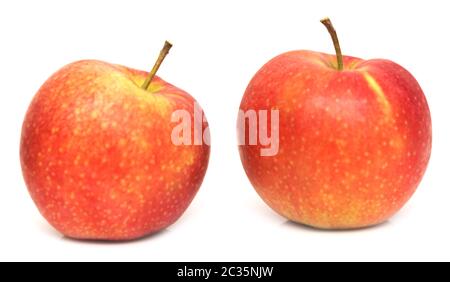 Zwei rote Äpfel Stockfoto