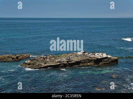 Zahlreiche Seelöwen und Kormorane auf einem Felsen im Meer Stockfoto