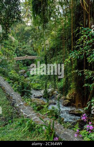 Wanderwege um königliche Gräber bei Gunung Kawi Indonesia Stockfoto