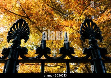 Detail eines antiken geschmiedeten Geländers mit Herbstblättern auf dem Hintergrund Stockfoto