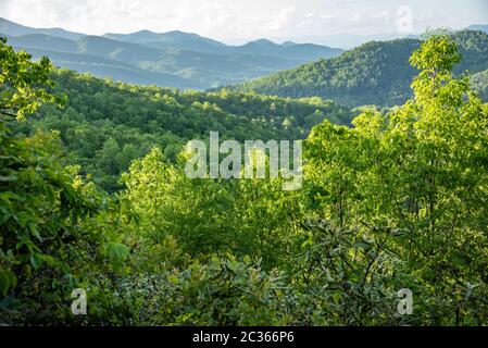 Blick auf die Blue Ridge Mountains vom Black Rock Mountain State Park in Mountain City, Georgia. (USA) Stockfoto