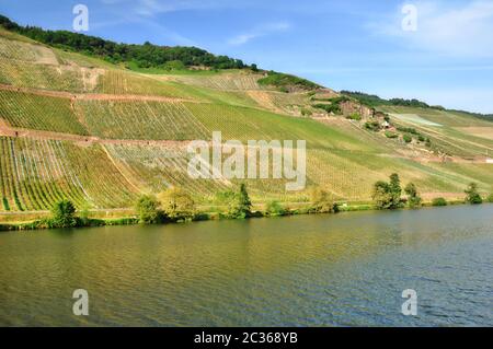 Mosel Stockfoto