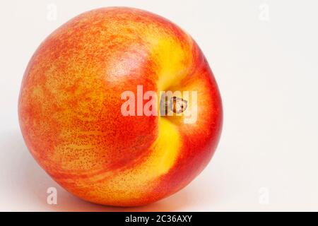 Ein Nektarin auf weißem Hintergrund Stockfoto