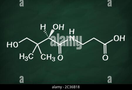 Strukturmodell des Vitamin B5 an die Tafel. Stockfoto