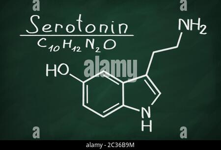Strukturmodell des Serotonin an die Tafel. Stockfoto