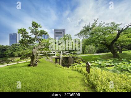 Japanische Brücke von schönen Pinien, Ahorn und Kirschbäumen umgeben trennt See und Stall füllen Stockfoto