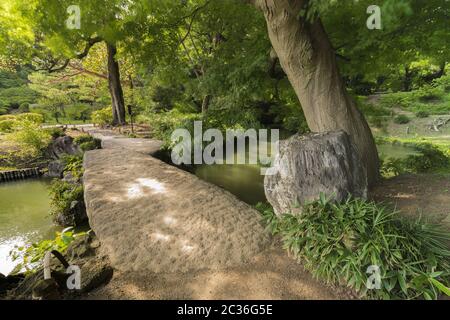 Große Steinbrücke namens Togetsu Brücke auf einem Teich unter einem großen mapfel Baum im Garten von Rikugien Stockfoto