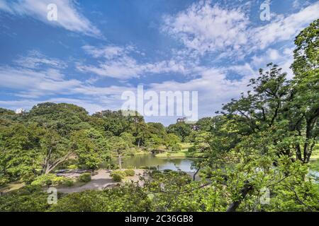 See umgeben von Pinien, Ahorn und Kirschbäumen unter dem blauen Himmel im Garten von Rikugien in Tok Stockfoto