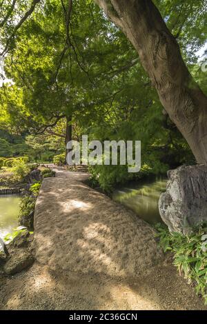 Große Steinbrücke namens Togetsu Brücke auf einem Teich unter einem großen mapfel Baum im Garten von Rikugien Stockfoto