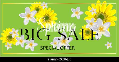 GROSSER VERKAUF. Banner für Werberabatte und Werbeaktionen. Frühlingsrabatte. Helles Design. Blumen auf grünem Hintergrund .. Stockfoto