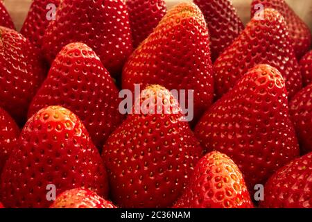 Erdbeer Frucht Nahaufnahme Hintergrund. Makrobild Stockfoto