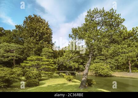 Große Kiefer auf einer Wiese unter dem blauen Himmel und große Steinbrücke namens Togetsu Brücke auf einem Teich und Stockfoto