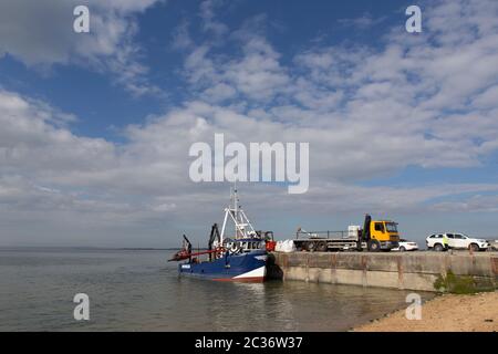 Ein Gabelstapler und ein LKW, der einen Fang von einem Fischerboot, dem Paul Patrick H1103, auf Bell Wharf, Leigh-on-Sea, Essex, auslädt. Stockfoto