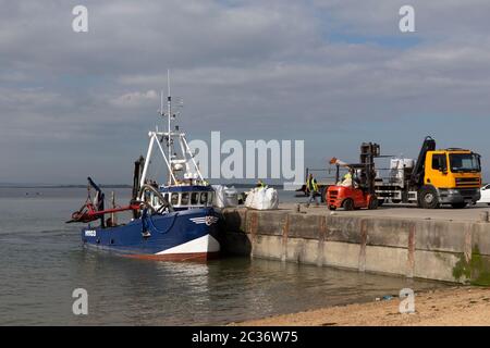 Ein Gabelstapler und ein LKW, der einen Fang von einem Fischerboot, dem Paul Patrick H1103, auf Bell Wharf, Leigh-on-Sea, Essex, auslädt. Stockfoto
