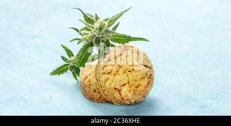 Cannabisbutter Plätzchen Panorama, mit Marihuana-Knospen, hausgemachten gesunden Keksen auf blauem Hintergrund mit Platz für Text Stockfoto