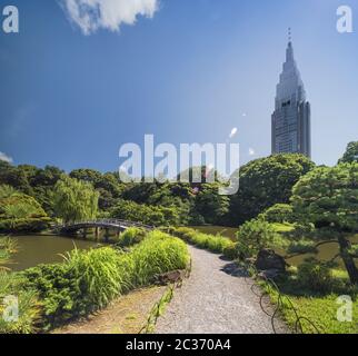 Shinjuku's Docomo Turm mit Blick auf die Upper Pond Holzbrücke und die Kiefer und Ahornwälder von t Stockfoto