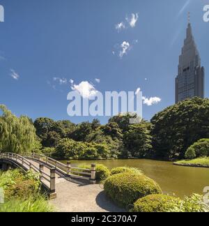 Shinjuku's Docomo Turm mit Blick auf die Upper Pond Holzbrücke und die Kiefer und Ahornwälder von t Stockfoto