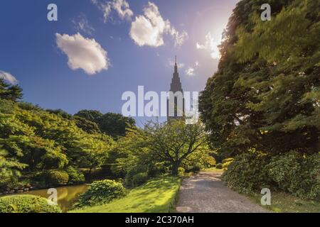 Shinjuku Docomo Turm mit Blick auf den oberen Teich und die Kiefer und Ahornwälder der traditionellen Stockfoto