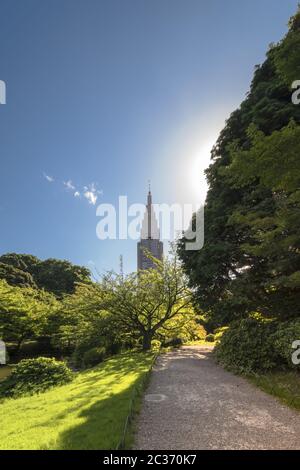 Shinjuku Docomo Turm mit Blick auf den oberen Teich und die Kiefer und Ahornwälder der traditionellen Stockfoto