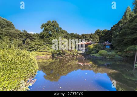 Taiwan Pavillon Kyu-Goryo-Tei mit Blick auf den oberen Teich und umgeben von Kiefer und Ahorn Stockfoto