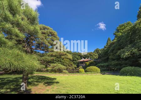 Taiwan Pavillon Kyu-Goryo-Tei mit Blick auf den oberen Teich und umgeben von Kiefer und Ahorn Stockfoto