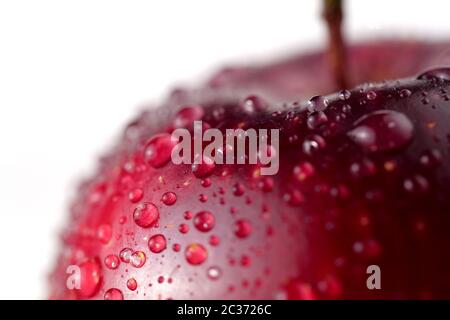 roter Apfel mit Wassertropfen Stockfoto