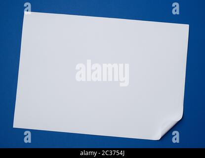 Leeres weißes Blatt Papier mit einer gewellten Ecke auf blauem Hintergrund, kopieren Raum Stockfoto