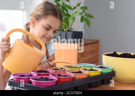 Ein Teenager Pflanzen in Töpfen und gießt sie mit Wasser aus einer Gießkanne Stockfoto