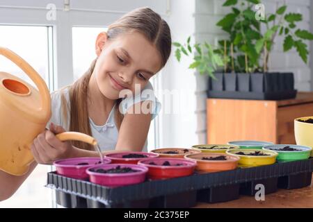 Das Mädchen pflanzte die Samen in Töpfen und wässerte sie mit einer Gießkanne Stockfoto