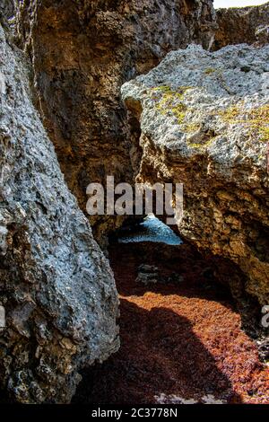 Dies ist die zerklüftete Ostküste von Barbados, wo Besucher die Luft atmen, in den belebenden Bathsheba Pools eintauchen und sich lebendig fühlen. Stockfoto