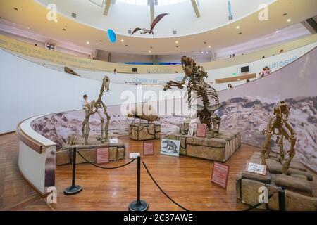 Argentinien Cordoba Naturwissenschaftliches Museum Stockfoto