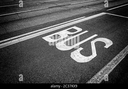 Schild an der Straße bus, Detail eines Zeichens auf den Asphalt, Informationen und Anzeige Signal gemalt Stockfoto