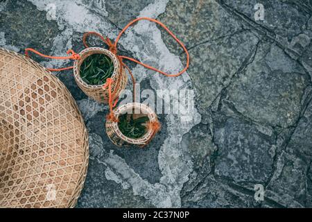 Kleine Weidenkorb Schüsseln mit frisch gesammelten Junge grüne Teeblätter auf den landwirtschaftlichen tree Plantation, Guilin, Guangxi Provinz, China Stockfoto