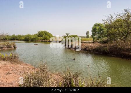 Blick auf einen kleinen See in einem Park im Zentrum Stockfoto