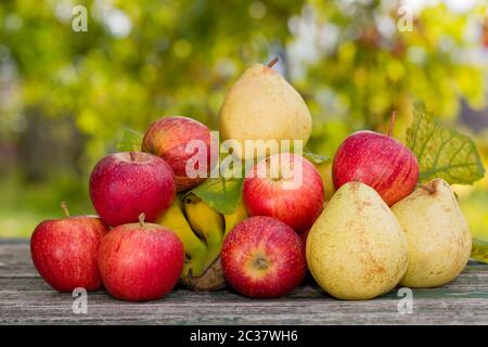 Früchte in Holztisch im Freien im Garten Stockfoto
