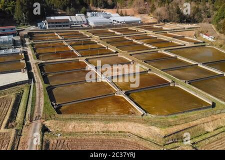 Käfige für Stör Fischzucht in natürlichen Fluss oder Teich, Luftbild. Stockfoto