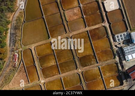 Käfige für Stör Fischzucht in natürlichen Fluss oder Teich, Luftbild. Stockfoto