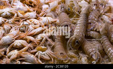 Rosafarbene, frische gefrorene Garnelen mit Eis in einem Supermarkt oder Fischgeschäft. Ungekochte Meeresfrüchte aus nächster Nähe Hintergrund. Frische gefrorene Garnelen, Delikatessen, Meeresfrüchte Konz Stockfoto